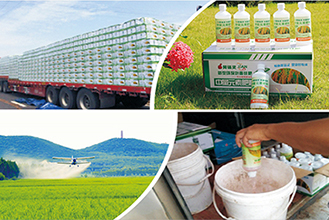 廣東省增城市農場水稻重金屬控制技術示范
